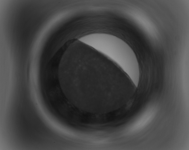 X0000100340383200806191029