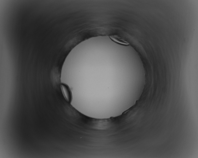 X0000100340384200806191029