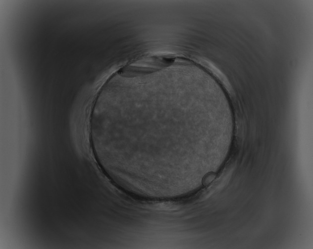 X0000100340385200806191029