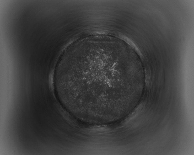 X0000100340386200806191029