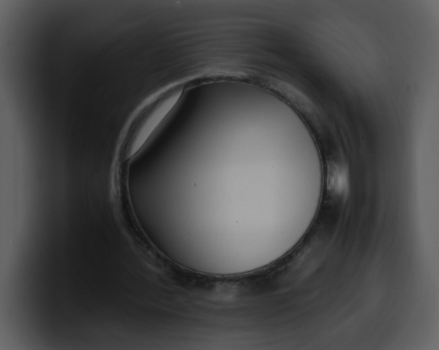 X0000100340388200806191029