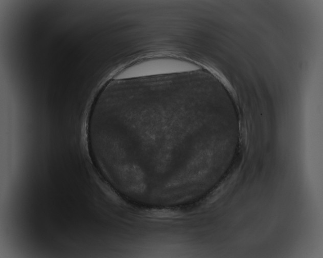 X0000100340389200806191029