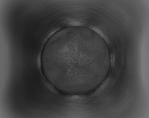 X0000100340390200806191029