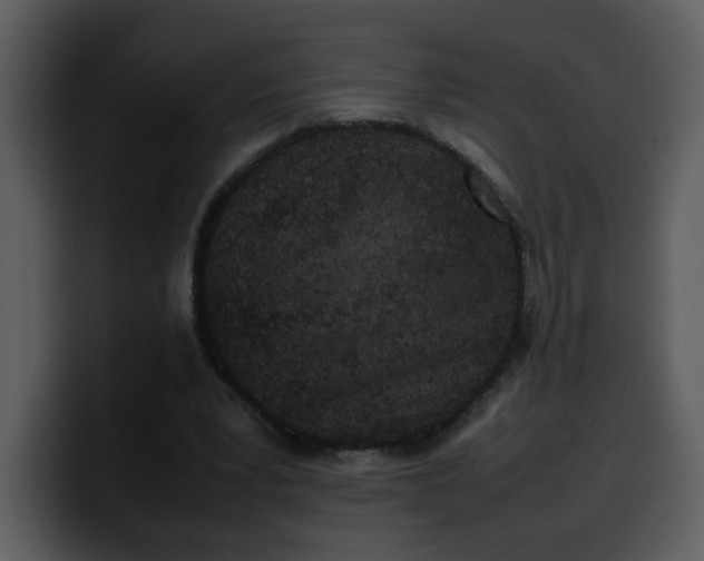 X0000100340391200806191029