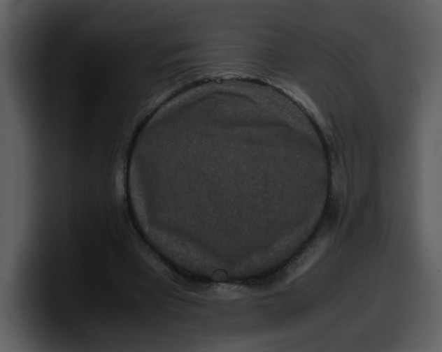 X0000100340393200806191029