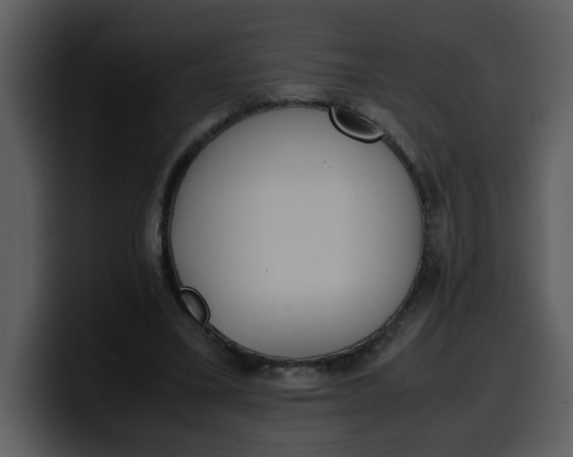 X0000100340395200806191029