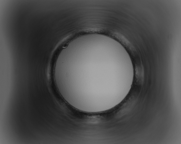 X0000100340396200806191029