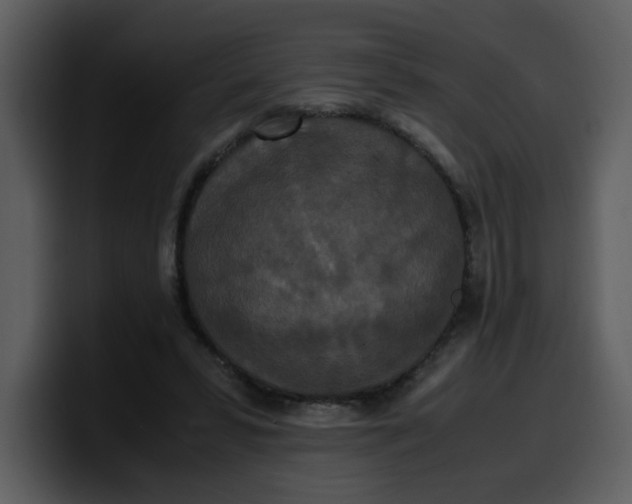 X0000100340399200806191029