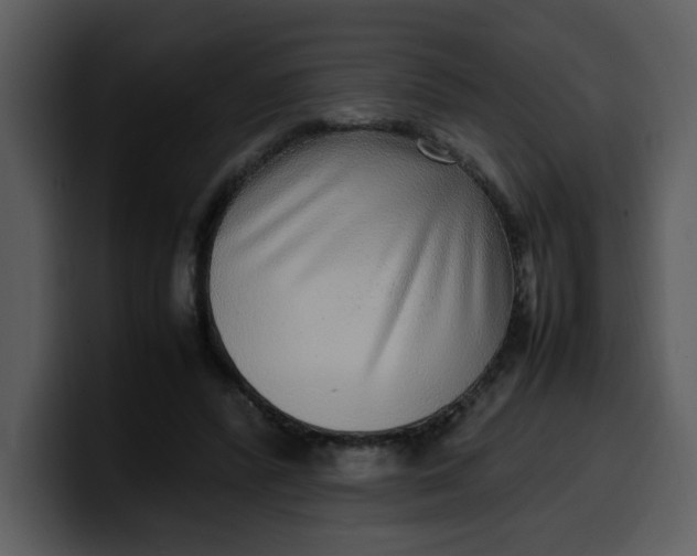 X0000100340400200806191029