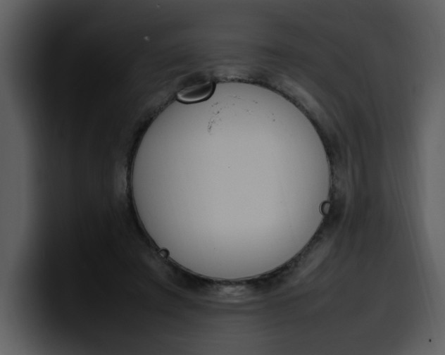 X0000100340401200806191029