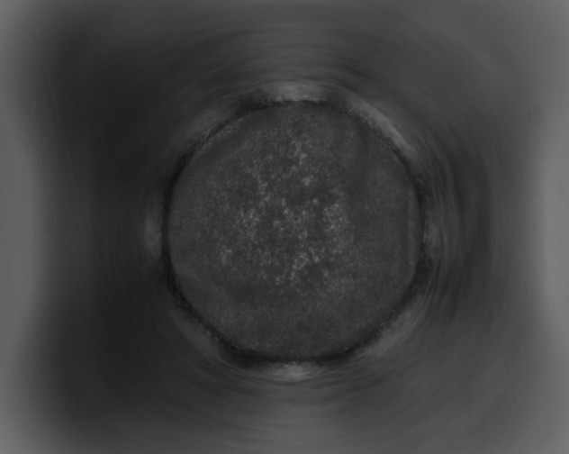 X0000100340402200806191028