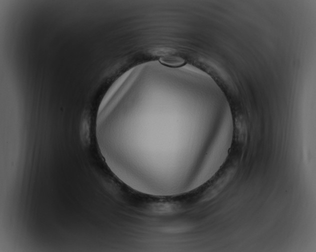 X0000100340404200806191028