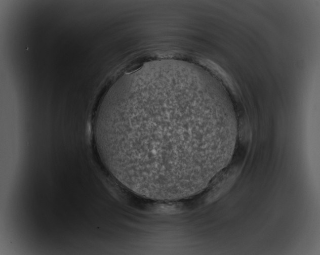 X0000100340405200806191028