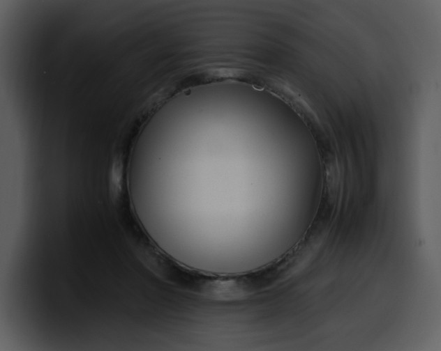 X0000100340406200806191028