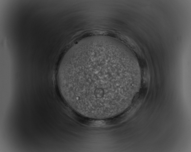 X0000100340409200806191028