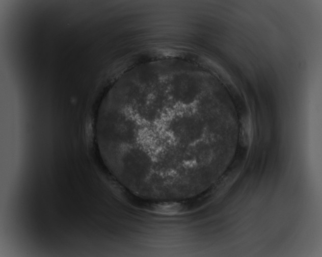 X0000100340410200806191028