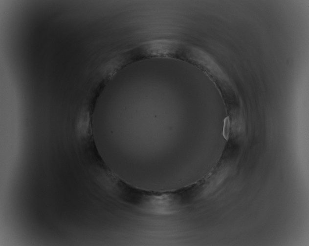 X0000100340411200806191028