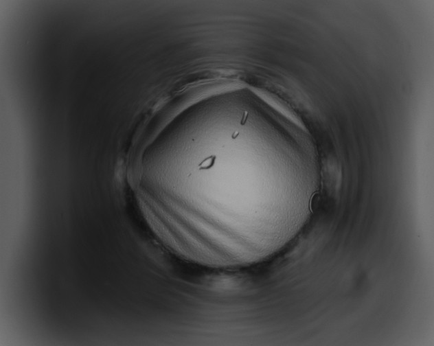 X0000100340412200806191028