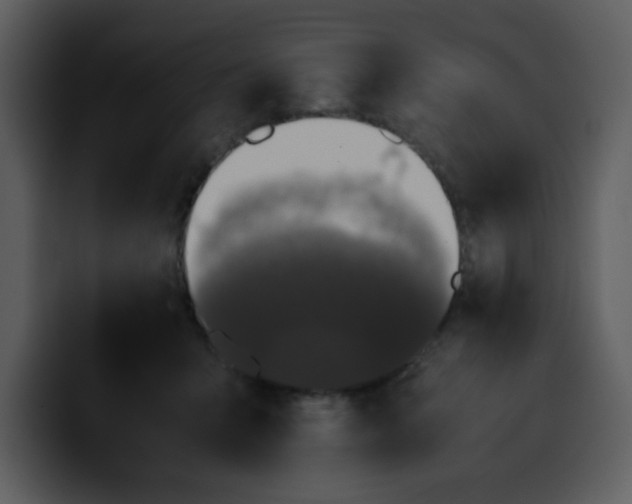 X0000100340415200806191028