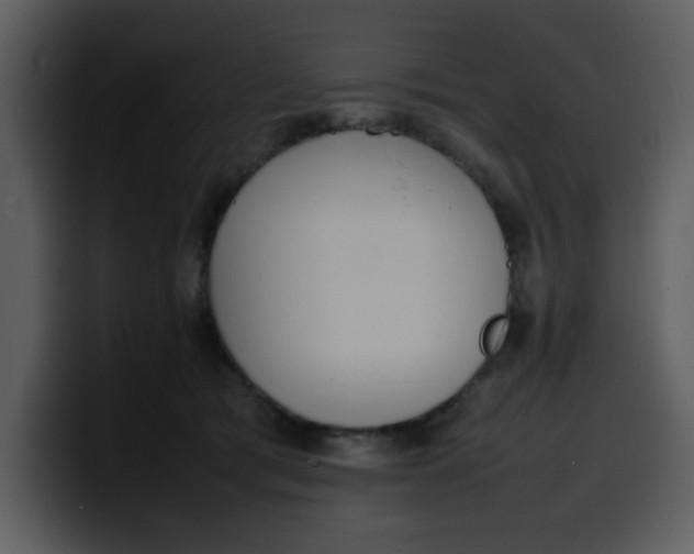 X0000100340417200806191028