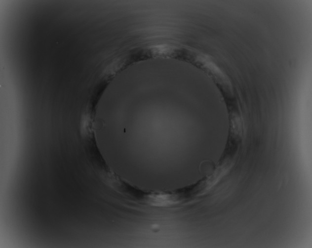 X0000100340419200806191028