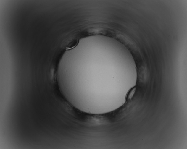 X0000100340420200806191028