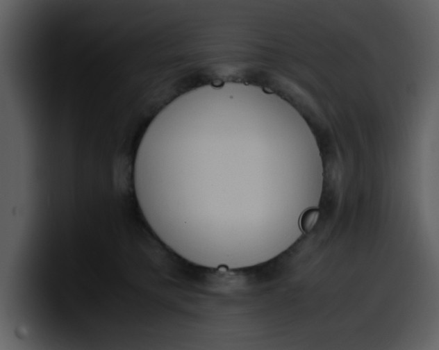 X0000100340421200806191028