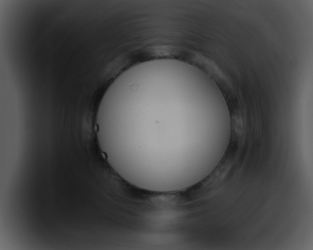 X0000100340422200806191028