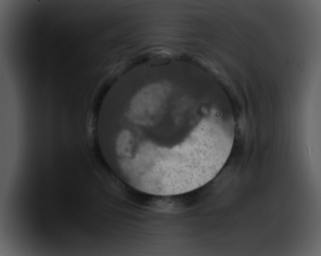 X0000100340423200806191028