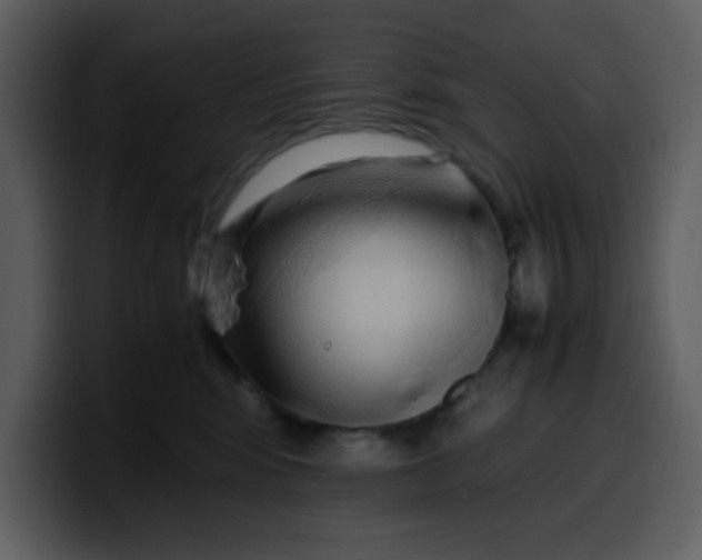 X0000100340424200806191028