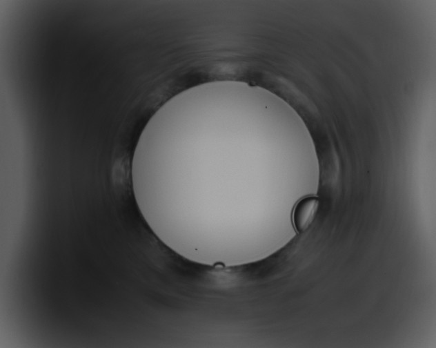 X0000100340425200806191028