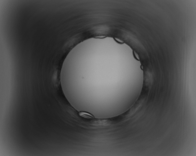 X0000100340428200806191028