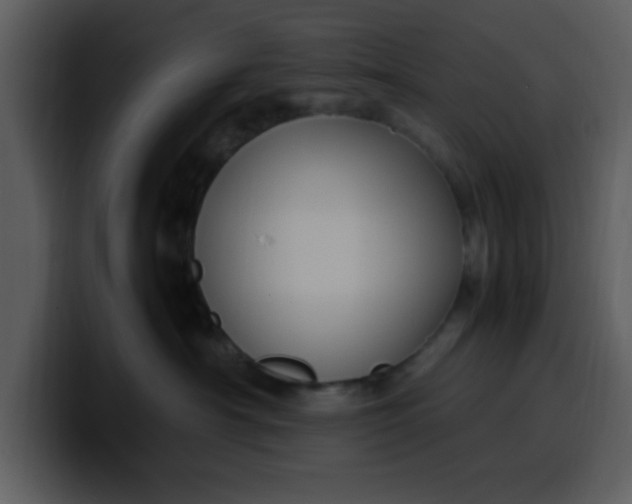 X0000100340430200806191028