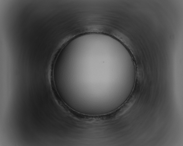 X0000100340434200806191027