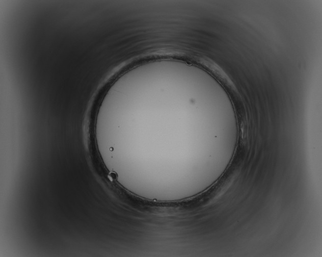 X0000100340436200806191027