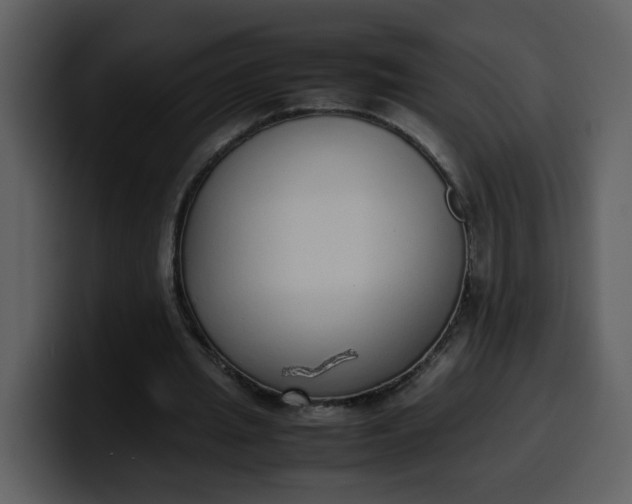 X0000100340437200806191027