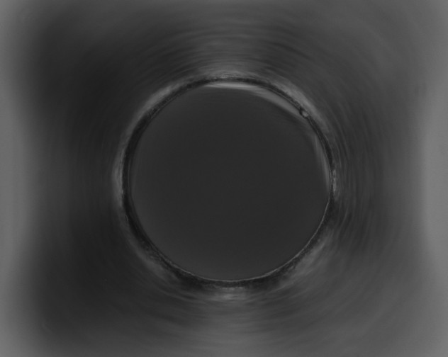 X0000100340438200806191028