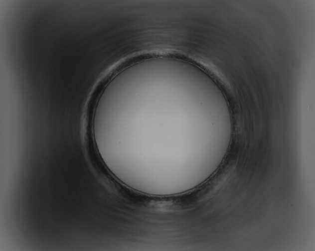 X0000100340440200806191028