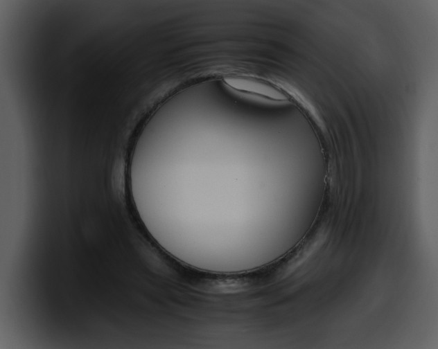 X0000100340445200806191028