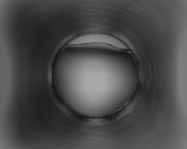 X0000100340446200806191028