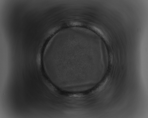 X0000100340447200806191028