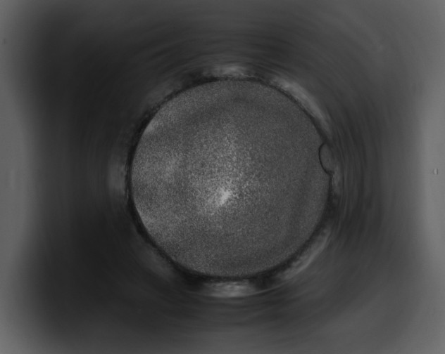 X0000100340449200806191028