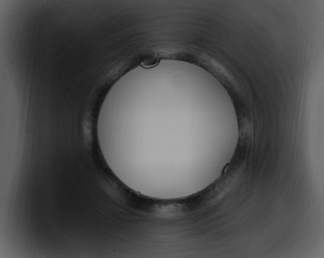 X0000100340452200806191028