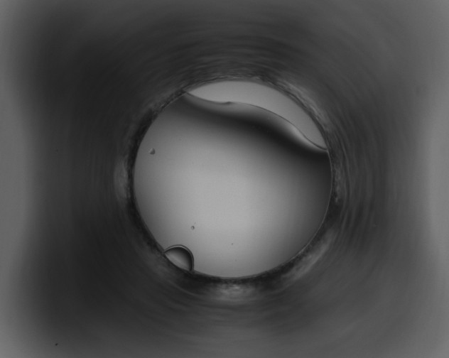 X0000100340453200806191028