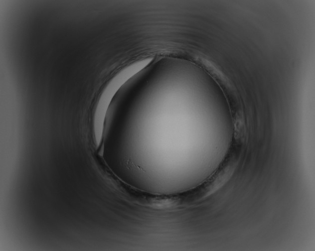 X0000100340454200806191028