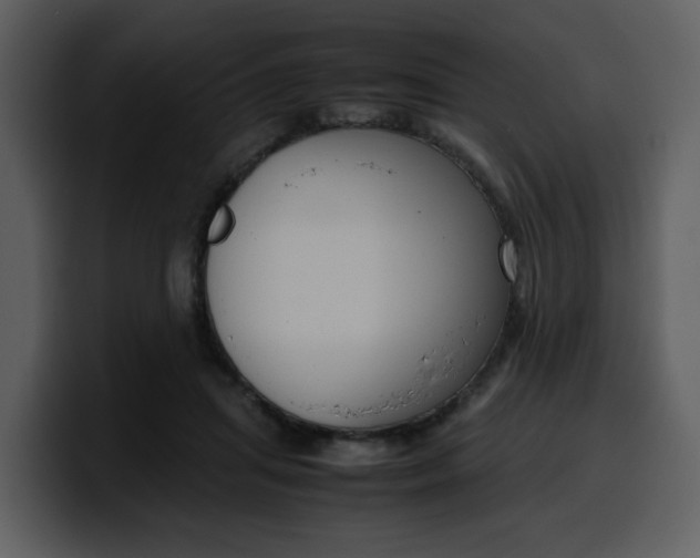 X0000100340455200806191028