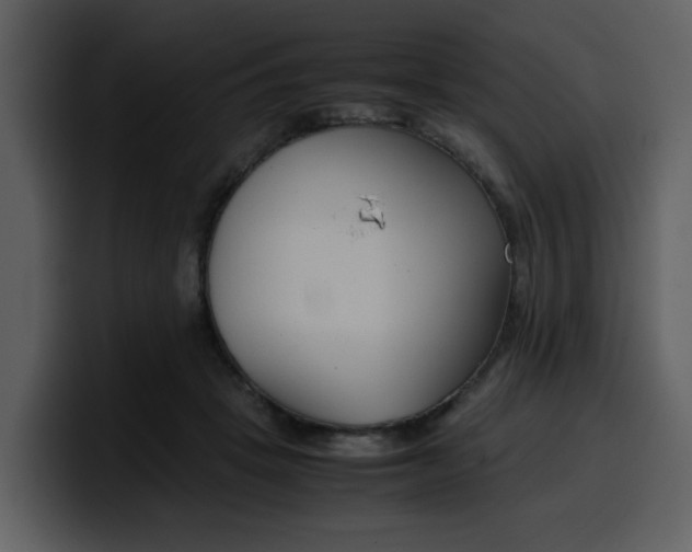 X0000100340457200806191028