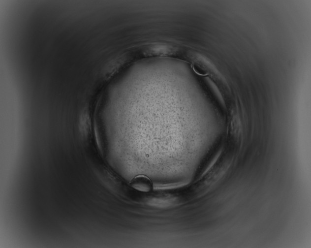 X0000100340459200806191028