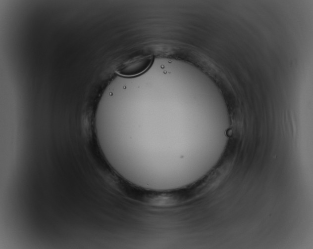 X0000100340460200806191028