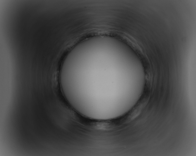 X0000100340462200806191028